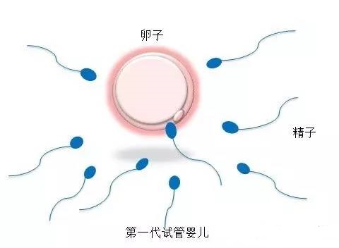 实验室